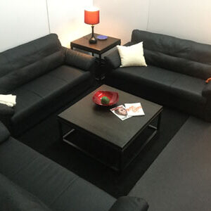 Leather Couches