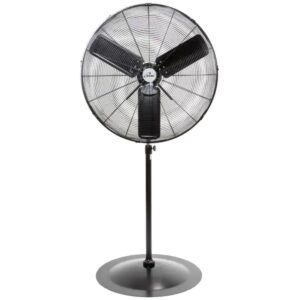 Pedestal Fan