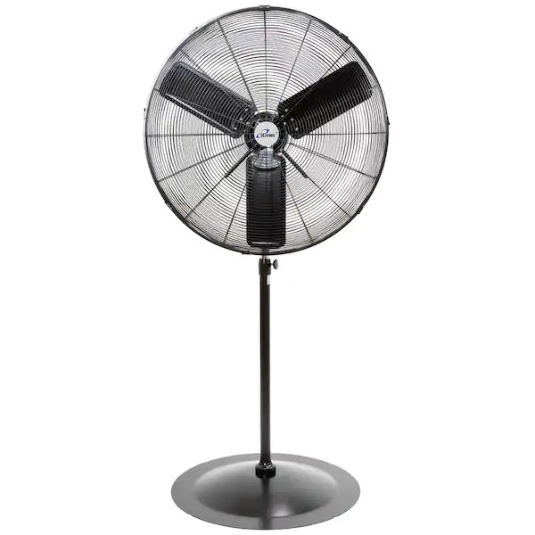 Pedestal Fan