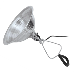 Clamp on Lights