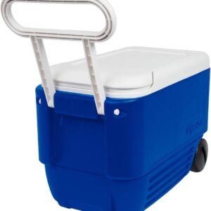 Small Cooler w Wheels